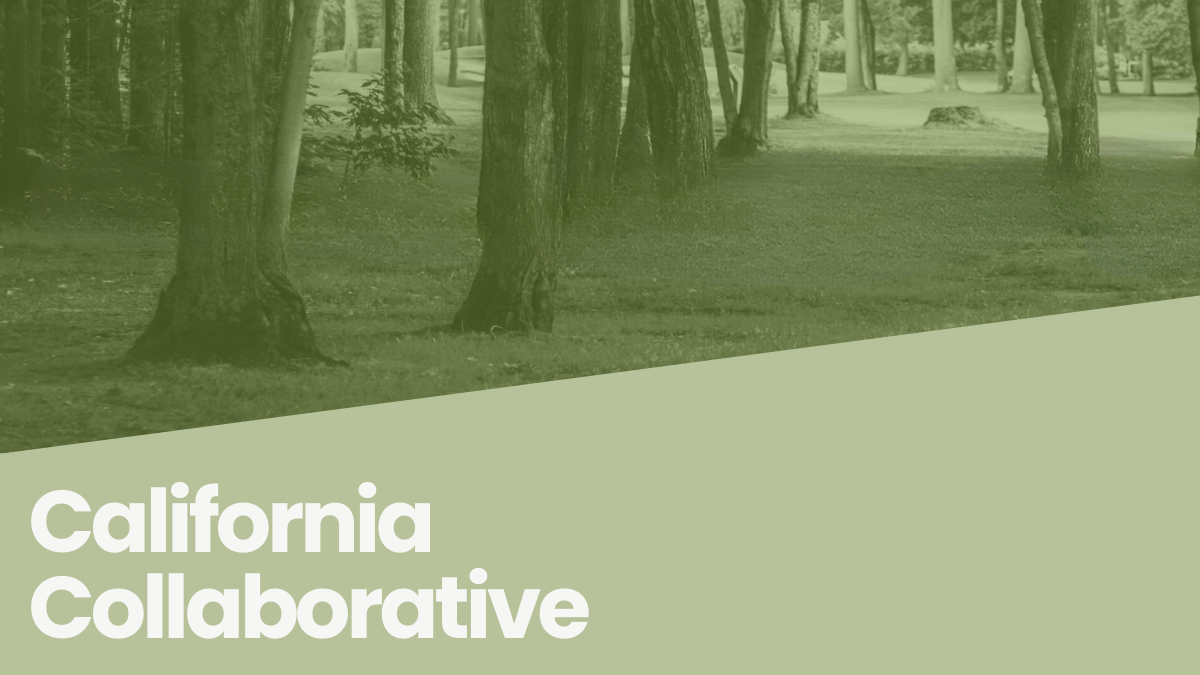 California Epic Tapestry Collaborative