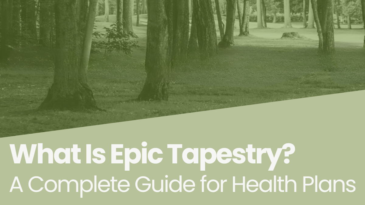 what is epic tapestry blog post